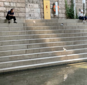 Screen Shot 2024 06 29 At 5.16.13 Pm