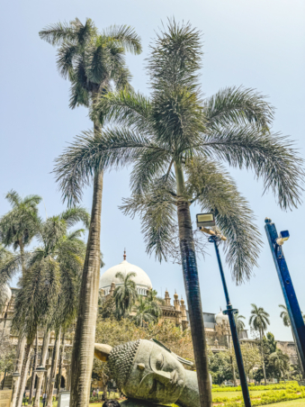 Melodyhirsch Mumbai2024 18