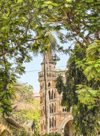 Melodyhirsch Mumbai2024 21