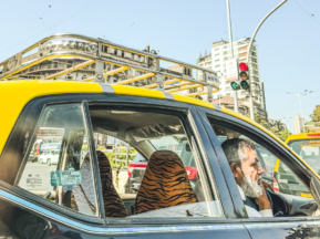 Melodyhirsch Mumbai2024 28