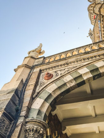 Melodyhirsch Mumbai2024 31