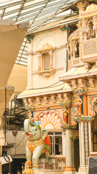 Melodyhirsch Mumbai2024 42