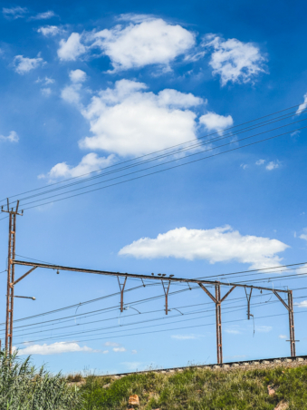 Melodyhirsch Southafrica2024 102