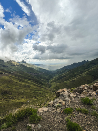 Melodyhirsch Southafrica2024 113