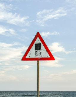 Melodyhirsch Southafrica2024 129