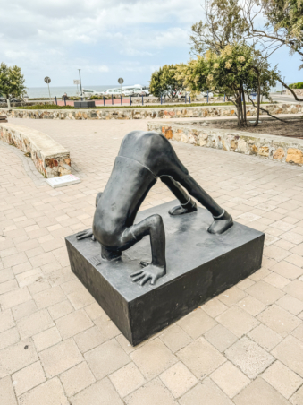 Melodyhirsch Southafrica2024 133