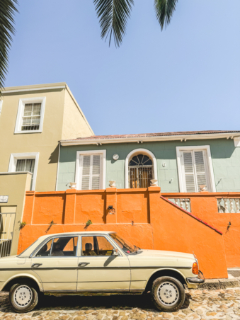 Melodyhirsch Southafrica2024 134