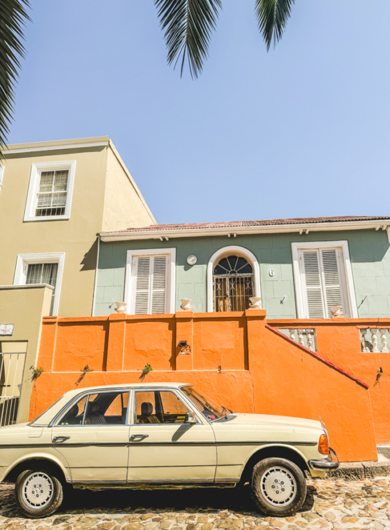 Melodyhirsch Southafrica2024 134