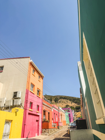 Melodyhirsch Southafrica2024 142