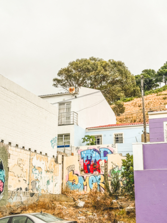 Melodyhirsch Southafrica2024 164