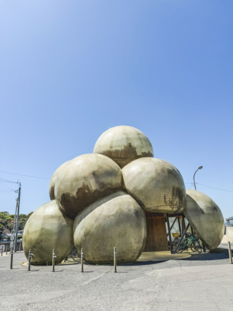 Melodyhirsch Japan 029