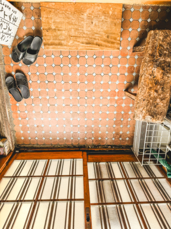 Melodyhirsch Japan 041