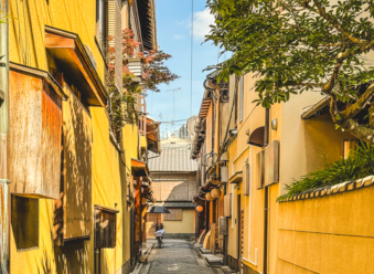 Melodyhirsch Japan 059