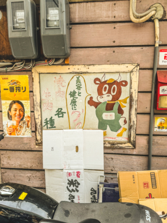 Melodyhirsch Japan 062