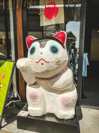 Melodyhirsch Japan 076