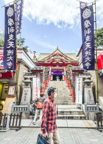 Melodyhirsch Japan 092