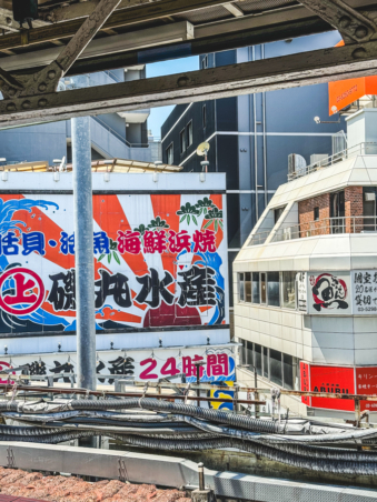 Melodyhirsch Japan 096