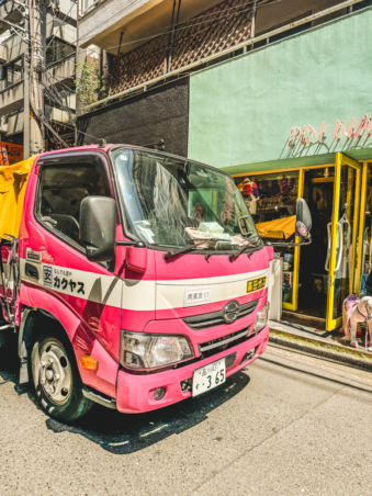 Melodyhirsch Japan 097