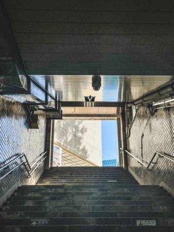 Melodyhirsch Japan 101