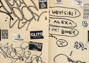 Melodyhirsch Japan 123