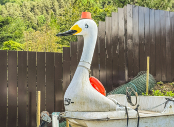 Melodyhirsch Japan 124