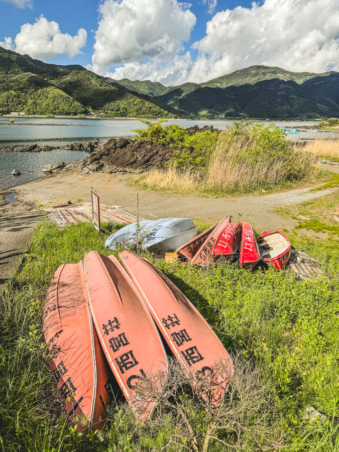 Melodyhirsch Japan 125