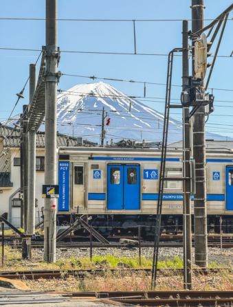 Melodyhirsch Japan 132