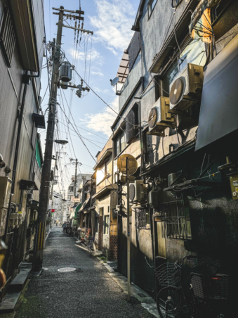 Melodyhirsch Japan 142