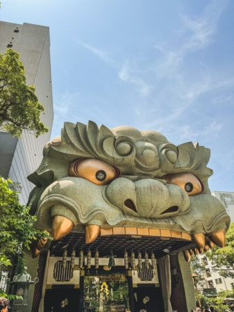 Melodyhirsch Japan 143