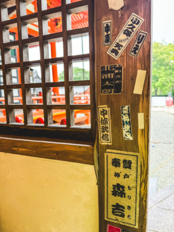 Melodyhirsch Japan 145