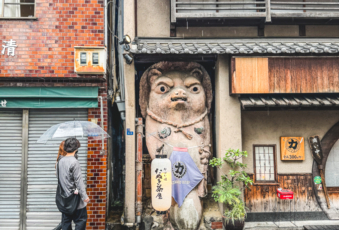 Melodyhirsch Japan 146