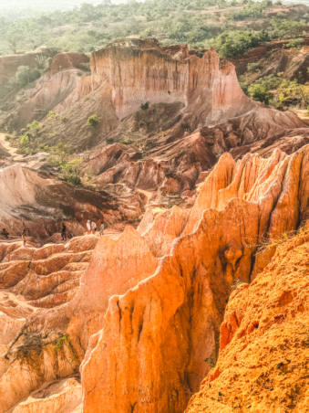 Melodyhirsch Kenya2024 019