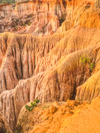 Melodyhirsch Kenya2024 021