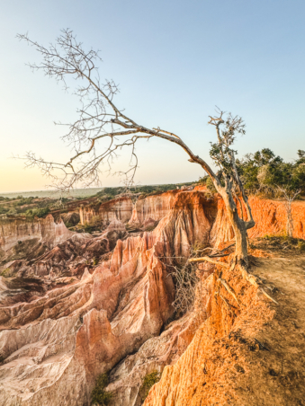 Melodyhirsch Kenya2024 023
