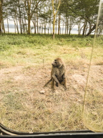 Melodyhirsch Kenya2024 053