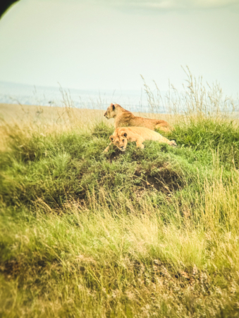 Melodyhirsch Kenya2024 077