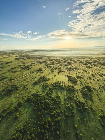 Melodyhirsch Kenya2024 084