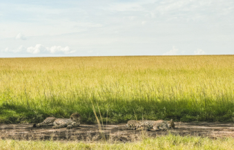 Melodyhirsch Kenya2024 094