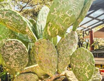 Melodyhirsch Kenya2024 115