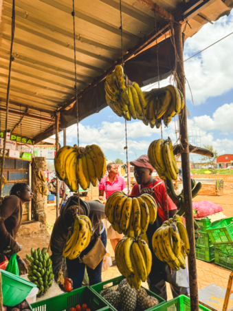 Melodyhirsch Kenya2024 128