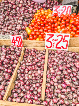 Melodyhirsch Kenya2024 129