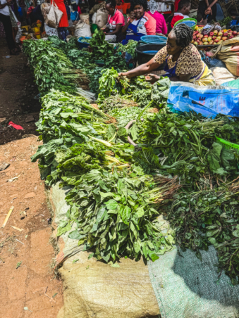 Melodyhirsch Kenya2024 132