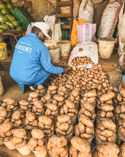 Melodyhirsch Kenya2024 135