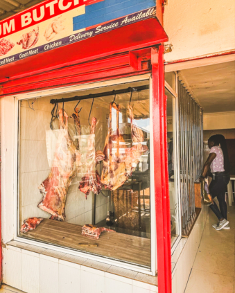 Melodyhirsch Kenya2024 138