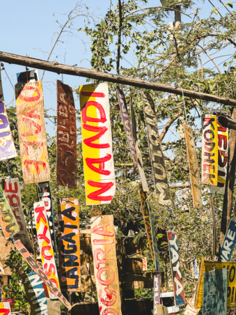 Melodyhirsch Kenya2024 142