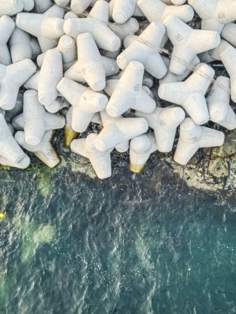 Melodyhirsch Southkorea2024 013