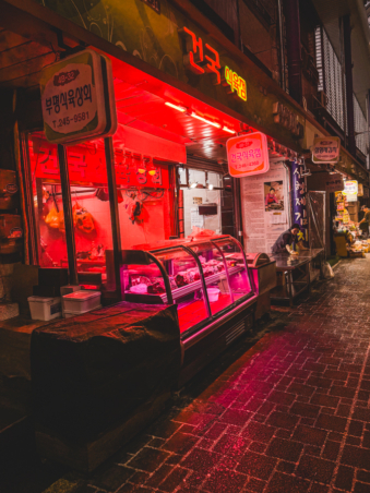 Melodyhirsch Southkorea2024 019