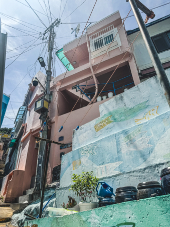 Melodyhirsch Southkorea2024 043