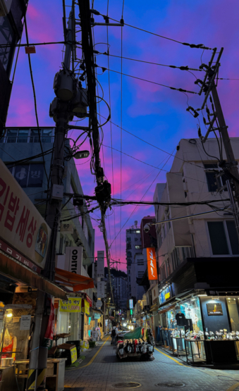 Melodyhirsch Southkorea2024 065