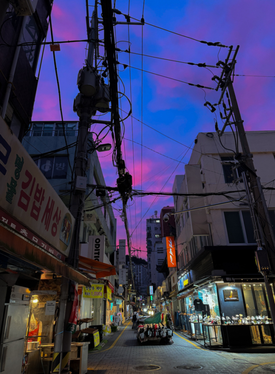 Melodyhirsch Southkorea2024 065